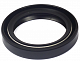 SEAL, Oil | (PTO Side) 